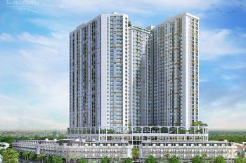 Cần cho thuê căn hộ pegasuite 1 tạ quang bửu, p6, dt 68m2, 2pn, 2wc, đầy đủ nội thất, giá 12 tr/th
