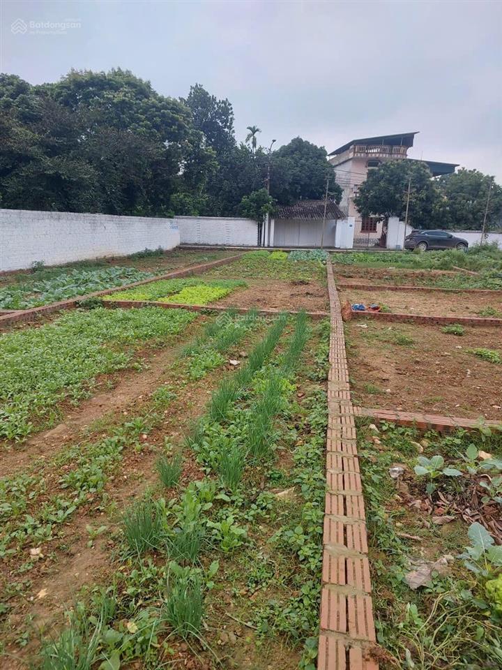 Mở bán lô đất nền giá chỉ có 650tr/lô. số đỏ full thổ cư