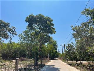 Bán 912m2 đất hẻm lý thường kiệt, phước hội, lagi giá đầu tư tặng bản vẽ nhà vườn 3d