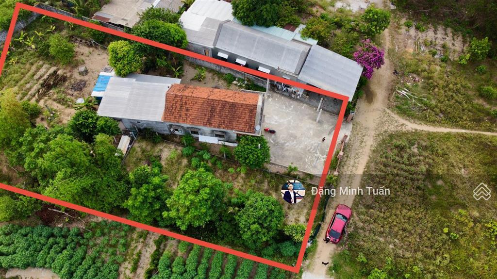 Bán nhà đất trong làng homestay hói dừa, lăng cô | 800 m2 có 160 m2 đất ở, ô tô vào tận nơi