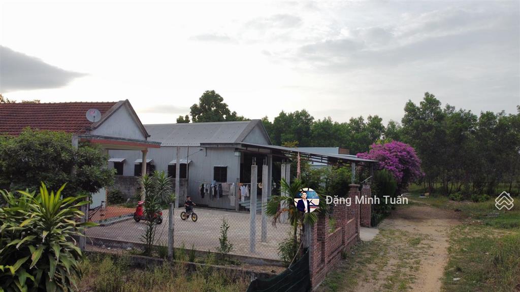 Bán nhà đất trong làng homestay hói dừa, lăng cô | 800 m2 có 160 m2 đất ở, ô tô vào tận nơi