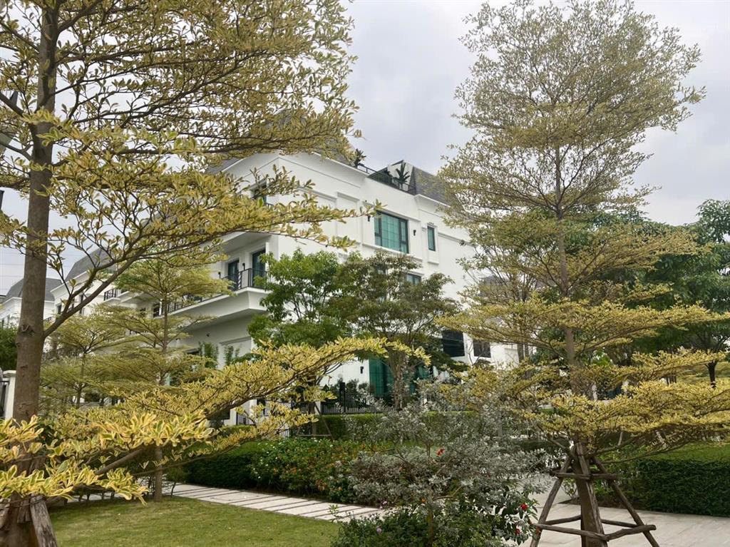 Quỹ căn chuyển nhượng liền kề, biệt thự park city giá tốt