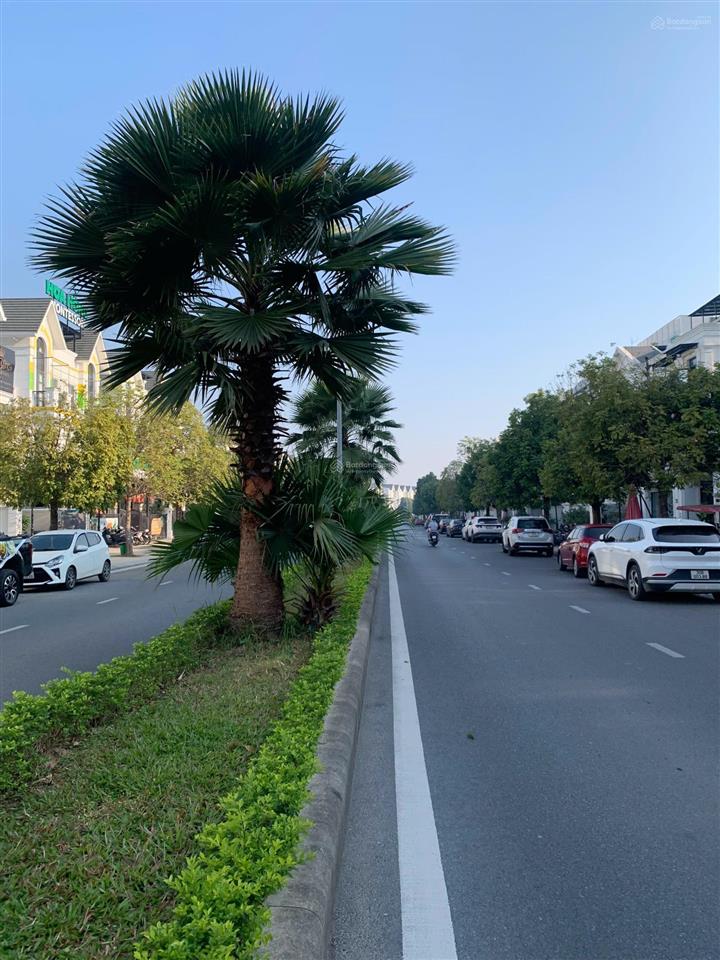 32 tỷ! bán bt song lập 150m2 hải âu 02 đường 30m dòng tiền 30  35tr vinhomes ocean park gia lâm