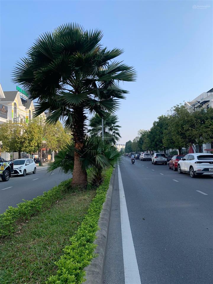 32 tỷ! bán bt song lập 150m2 hải âu 02 đường 30m dòng tiền 30  35tr vinhomes ocean park gia lâm