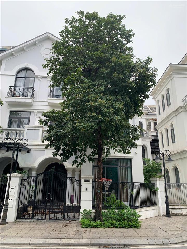 21,5tỷ! biệt thự liền kề xẻ khe sao biển 98.9m2 cạnh vincom, ht full đồ vào ở ngay vinhomes gia lâm