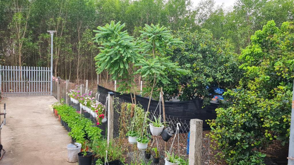 Chính chủ cần bán lô đất tiềm năng tăng giá cao ,xã xuân quế cẫm mỹ