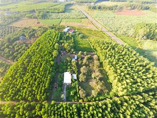 Chính chủ cần bán gấp 1700m đất cln  cẫm mỹ đồng nai  gần sân bay long thành  giá 3 tỷ 300 tr