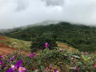 Chính chủ bán 3000m2 đất đường b'lao xê rê, phường 3 (trước đây là xã đại lào) chỉ 1,4 tỷ bl