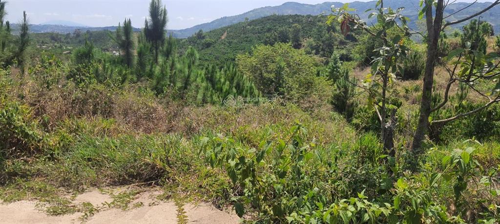 Chính chủ bán 3000m2 đất đường b'lao xê rê, phường 3 (trước đây là xã đại lào) chỉ 1,4 tỷ bl