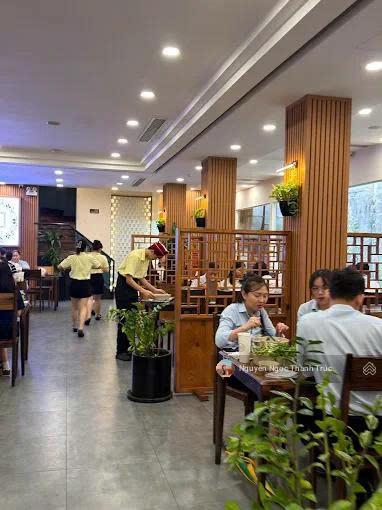 Siêu phẩm mạc đĩnh chi, q1  khuôn viên lớn hiếm có