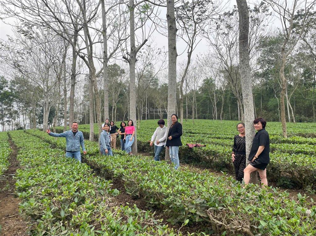 Chính chủ cần bán đất ở riêng 10.256m2, 1200m2 thổ cư sổ đỏ chính chủ, có nhà 5 gian, chuồng trại