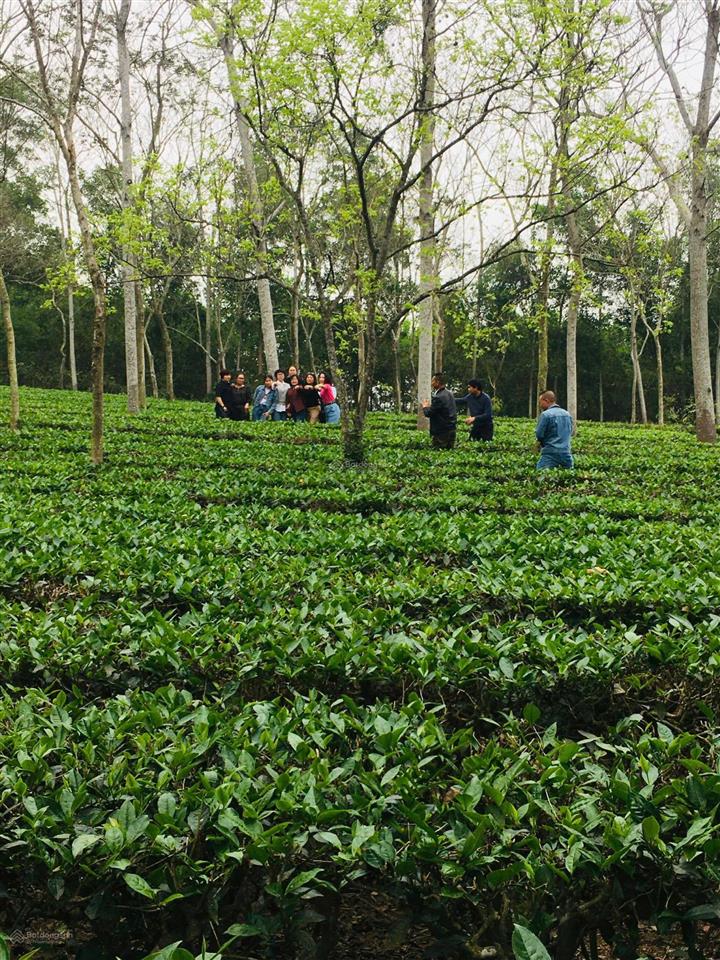 Chính chủ cần bán đất ở riêng 10.256m2, 1200m2 thổ cư sổ đỏ chính chủ, có nhà 5 gian, chuồng trại