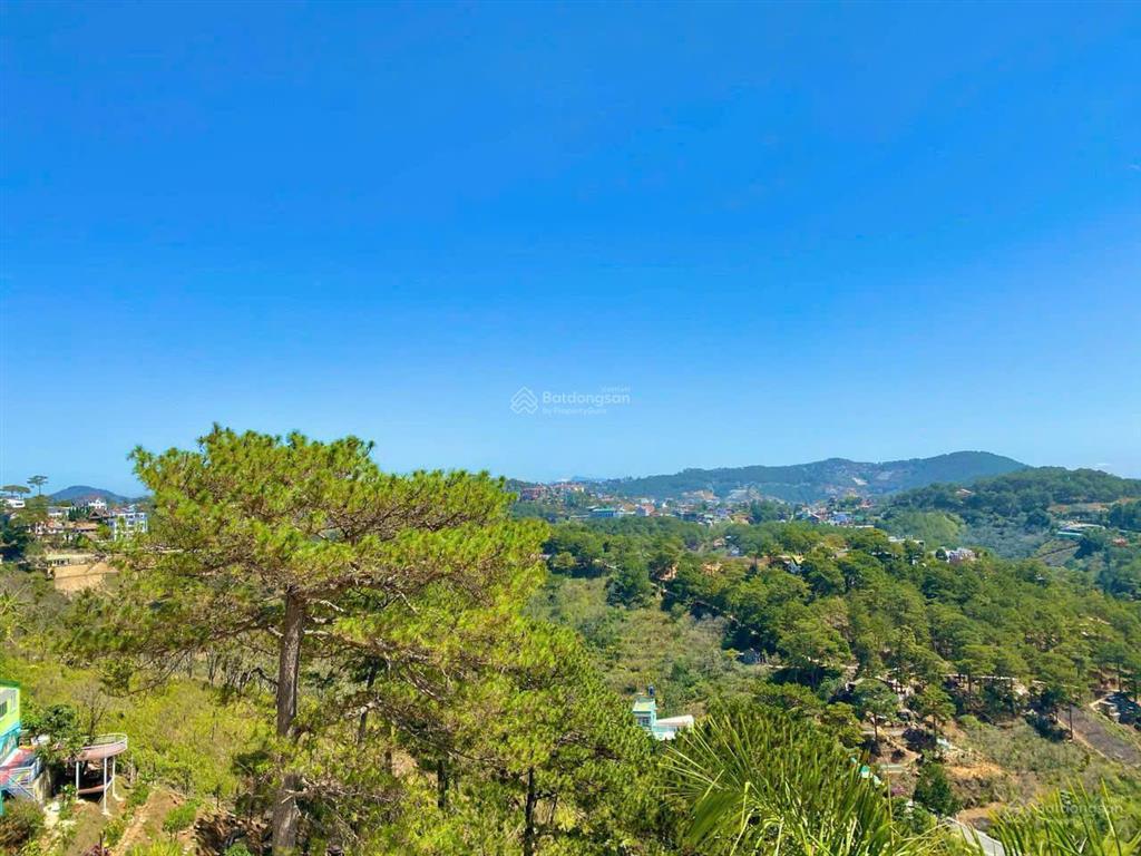 Bán tổ hợp 4 căn villa đà lạt quỹ đất 1.445m giá 85 tỷ