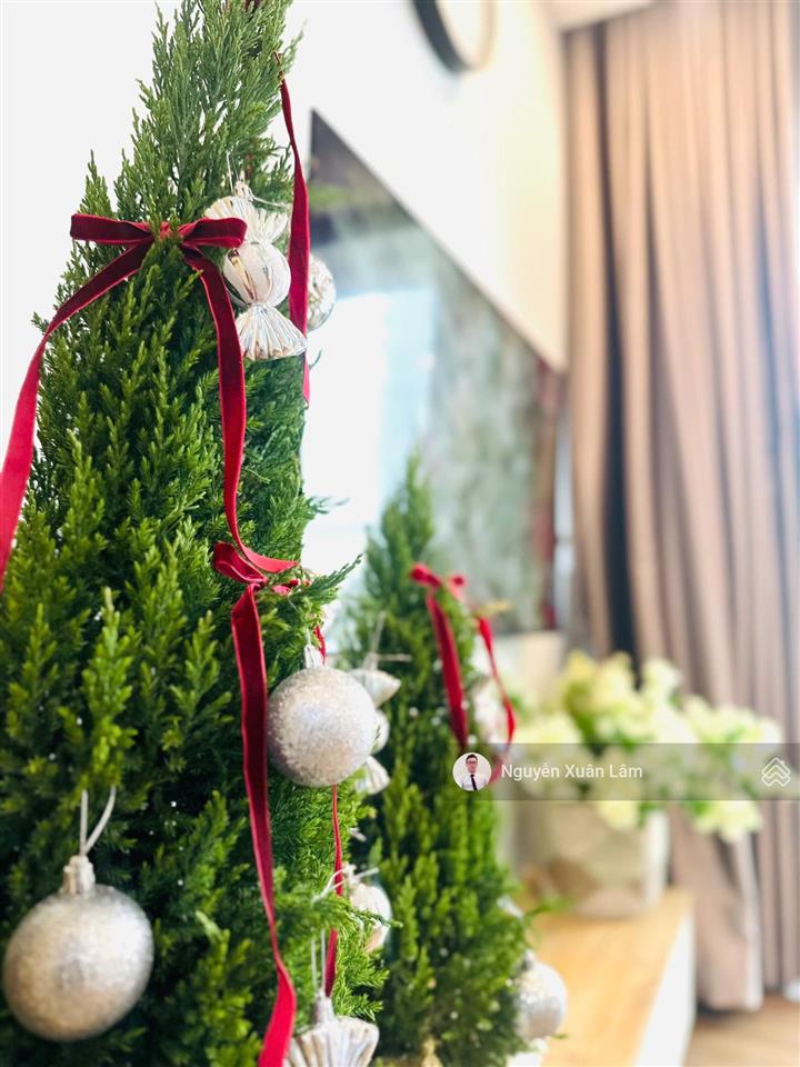 Cần bán căn 97m2 full đồ đẹp view vịnh đảo hồ thiên nga giá rẻ 7,5 tỷ bao phí oasis ecopark