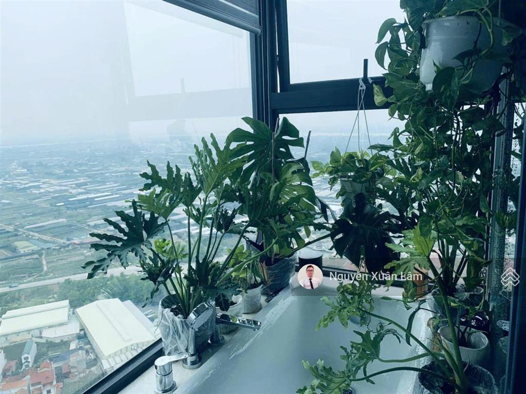 Cần bán căn 80m2 full đồ vị trí góc view 360 độ đẹp, giá rẻ 5.750 tỷ bao phí haven  ecopark