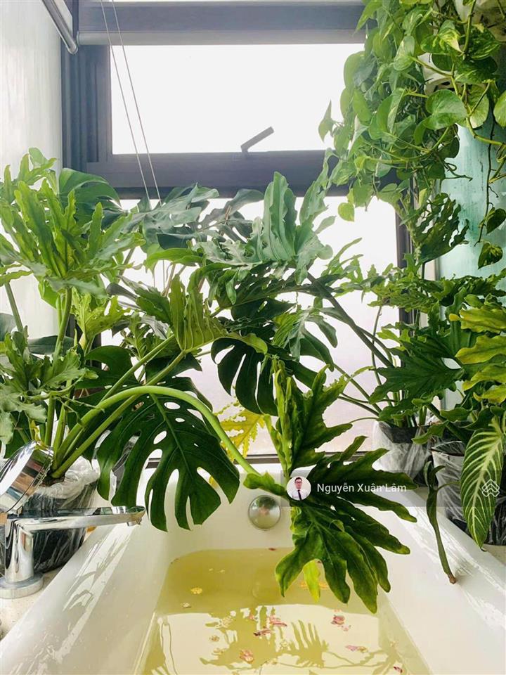 Cần bán căn 80m2 full đồ vị trí góc view 360 độ đẹp, giá rẻ 5.750 tỷ bao phí haven  ecopark