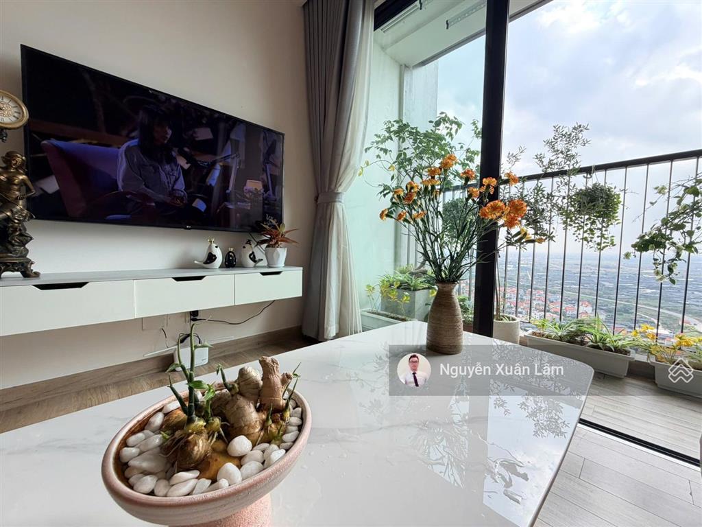 Cần bán căn 58m2 full đồ mới đẹp view sông hồng thoáng mát giá rẻ 4.5 tỷ bp haven ecopark