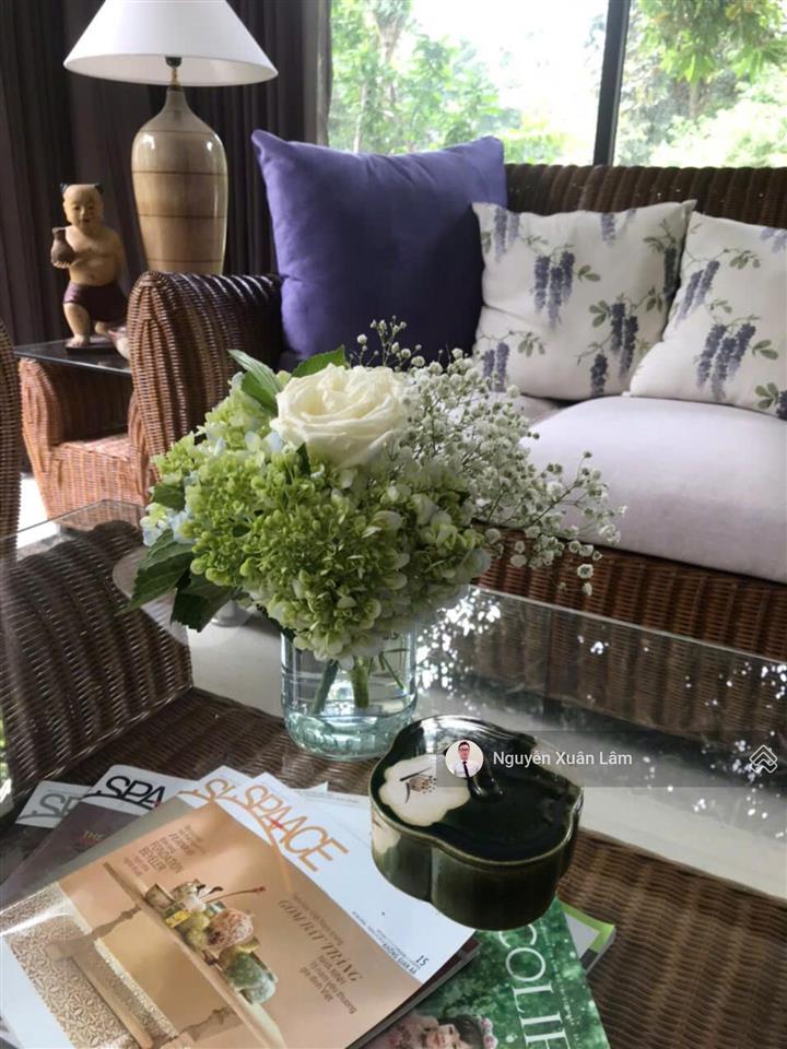 Cần cho thuê 334m² sử dụng biệt thự vị trí kim cương full đồ đẹp giá rẻ 40 triệu parkriver ecopark