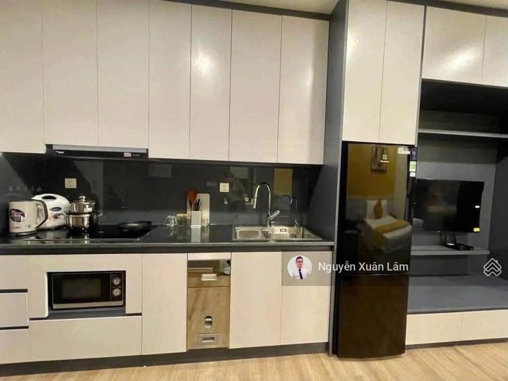 Cần cho thuê 30m2 studio full đồ mới đẹp giá tốt 6 triệu solforet  ecopark