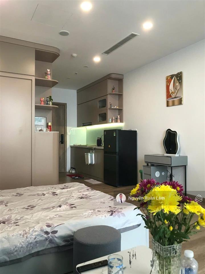 Cần cho thuê 36m2 full đồ mới view hồ thiên nga đẹp long lanh giá rẻ 6,5 triệu onsen ecopark