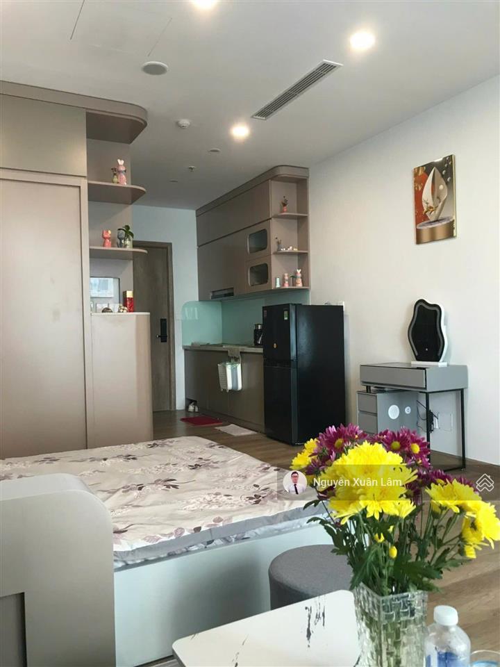 Cần cho thuê 36m2 full đồ mới view hồ thiên nga đẹp long lanh giá rẻ 6,5 triệu onsen ecopark
