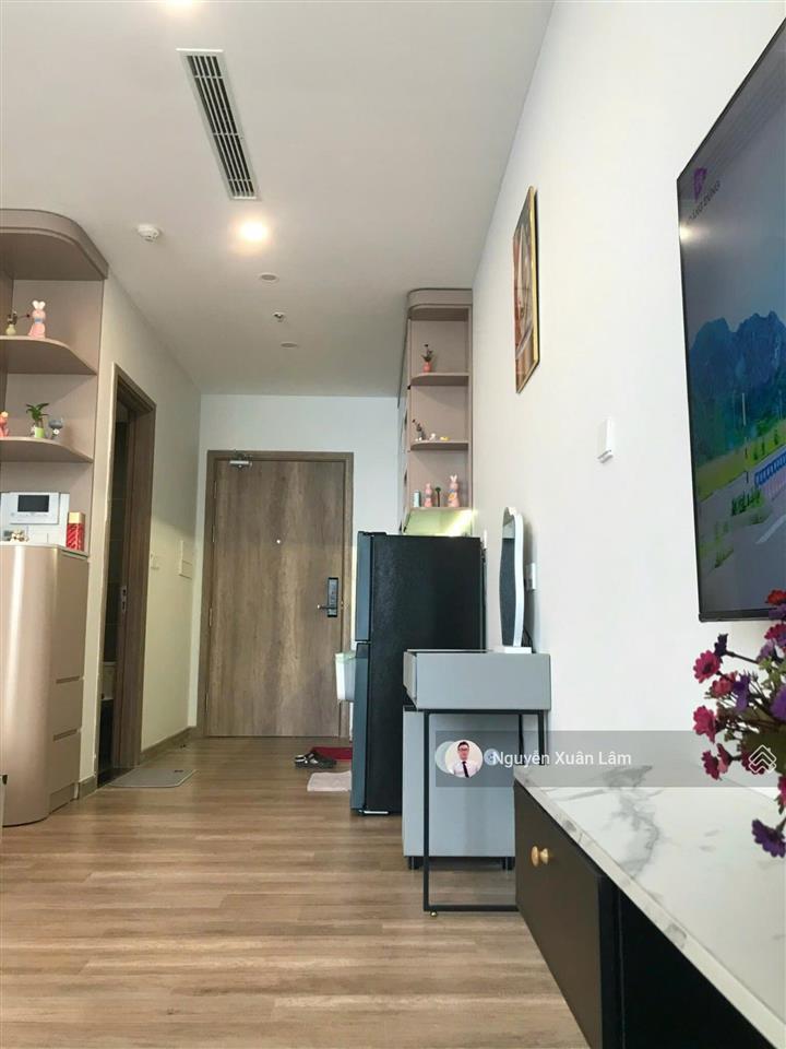Cần cho thuê 36m2 full đồ mới view hồ thiên nga đẹp long lanh giá rẻ 6,5 triệu onsen ecopark