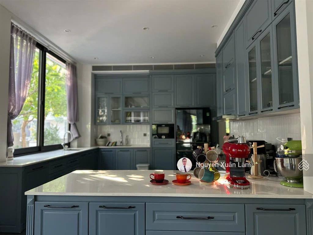 Cho thuê 411m2 biệt thự đảo trải nghiệm hoặc lâu dài giá cạnh tranh 50 triệu đến 150 triệu ecopark