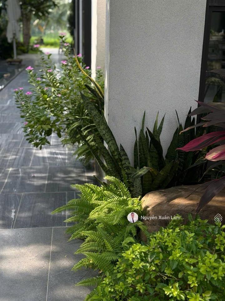 Cho thuê 411m2 biệt thự đảo trải nghiệm hoặc lâu dài giá cạnh tranh 50 triệu đến 150 triệu ecopark