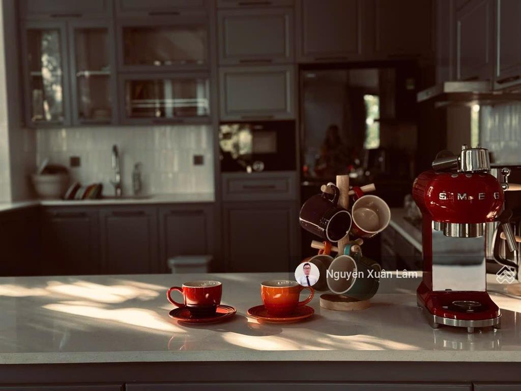 Cho thuê 411m2 biệt thự đảo trải nghiệm hoặc lâu dài giá cạnh tranh 50 triệu đến 150 triệu ecopark