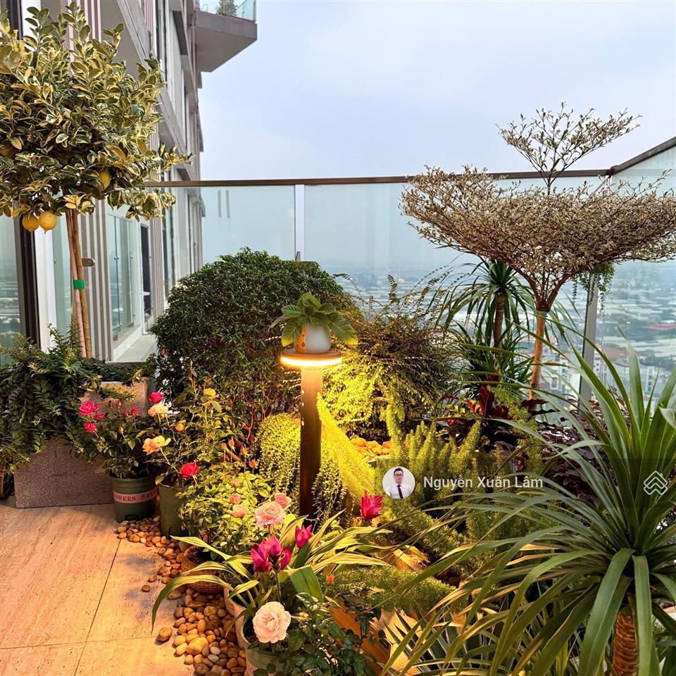 Cần cho thuê 150m2 mezza duplex full đồ mới đẹp long lanh giá rẻ 25 triệu solforet  ecopark