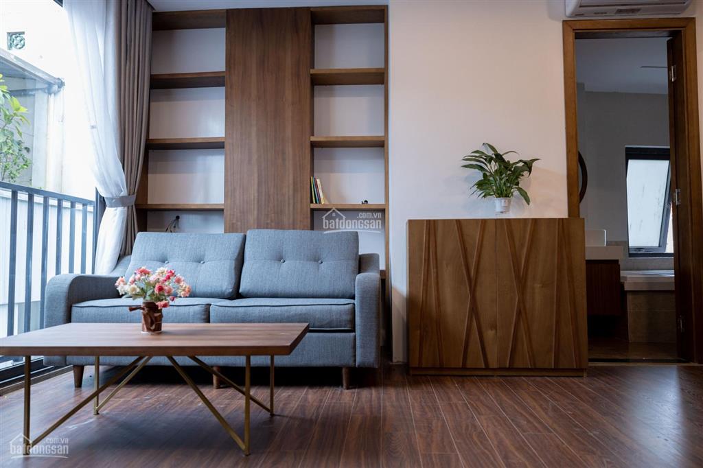 Chính chủ cho thuê căn hộ cao cấp đủ đồ mới khai trương tại đào tấn, cách lotte 5 phút giá 7tr5