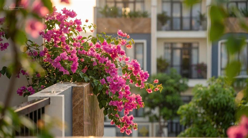 Liền kề 5 tầng cạnh bảo hiểm xã hội tp. huế. có gara ô tô riêng