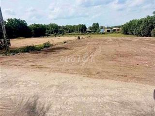 5x36m thổ cư 50m2 giá tổng 189tr Thạnh phú, xã Thạnh Bình , Tây Ninh