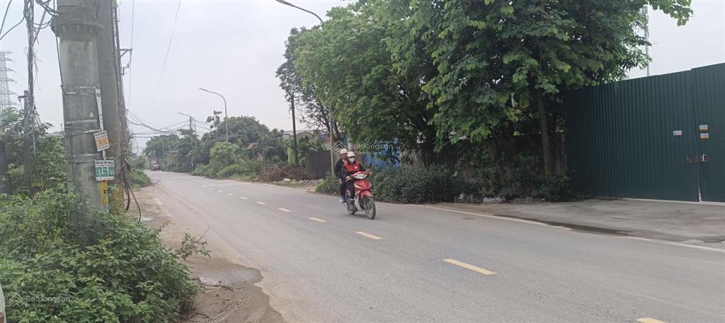 Cho thuê mặt bằng dt 1416m2, km14 đại lộ thăng long, xã an khánh picleball, bãi vlxd,.. 20k/m