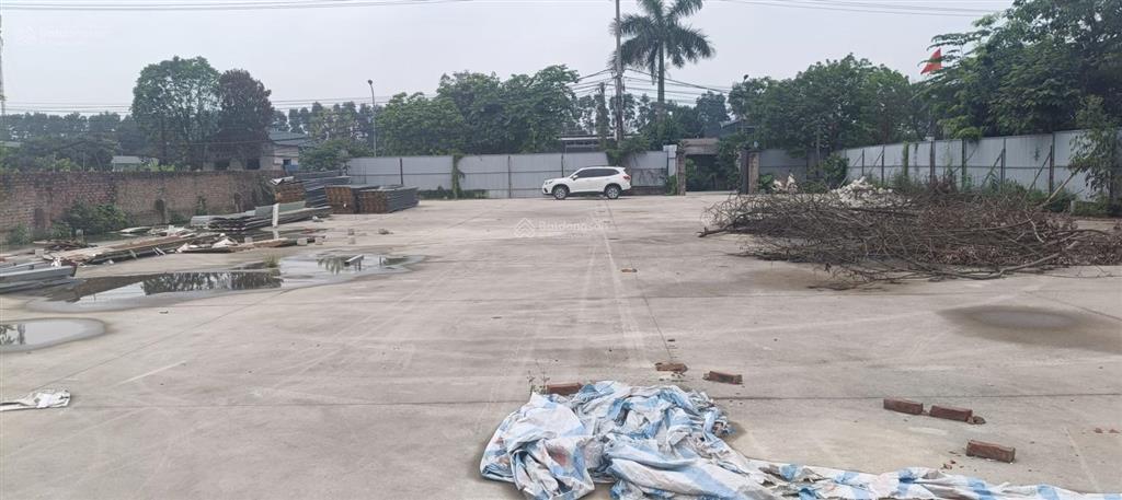 Cho thuê mặt bằng dt 1416m2, km14 đại lộ thăng long, xã an khánh picleball, bãi vlxd,.. 20k/m