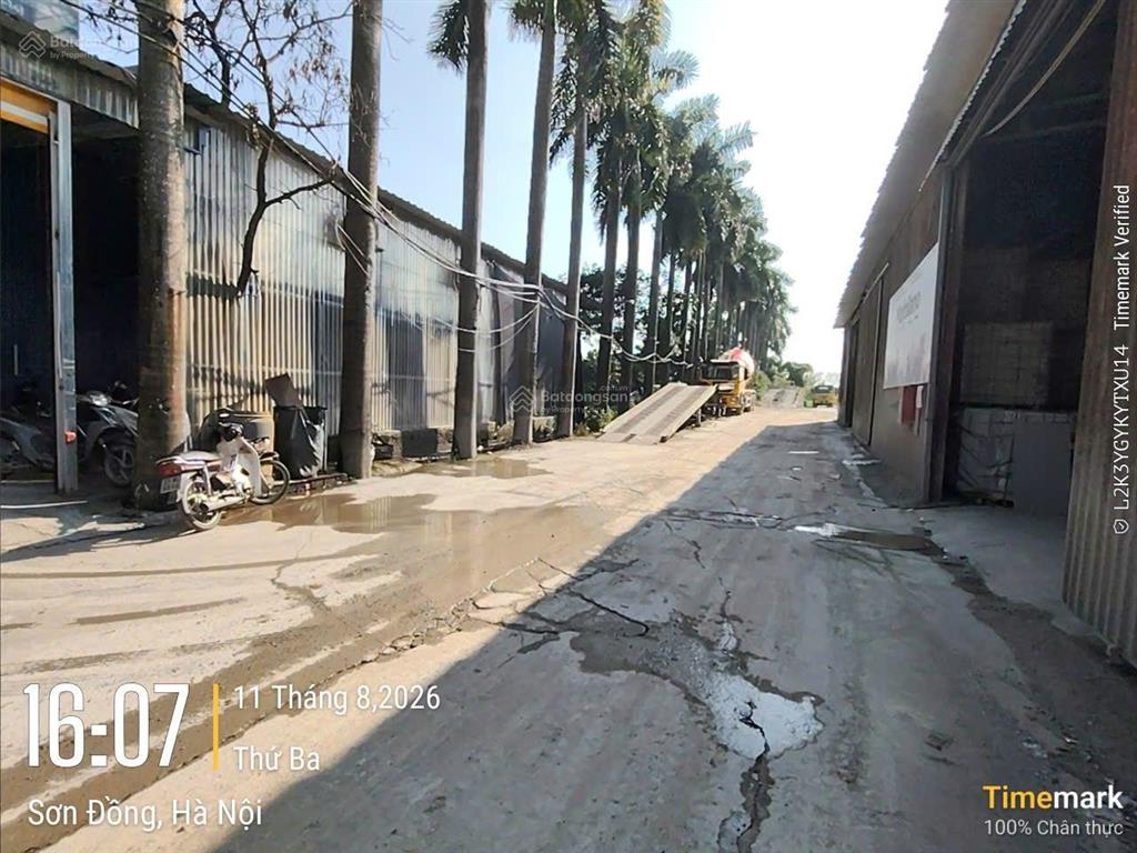 Cho thuê kho lại yên, gần cầu vượt an khánh, dt 1300m2, xe công vào, điện 3 pha, 70k/m