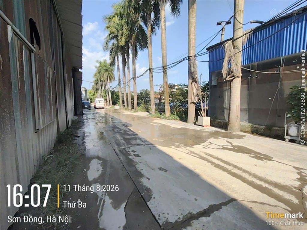Cho thuê kho lại yên, gần cầu vượt an khánh, dt 1300m2, xe công vào, điện 3 pha, 70k/m