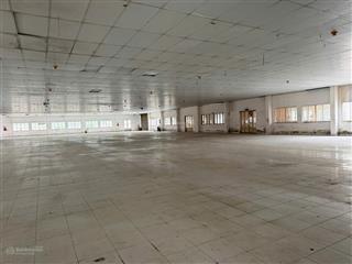 Cho thuê nhà xưởng 4000m2 phan văn hớn, quận 12, tphcm