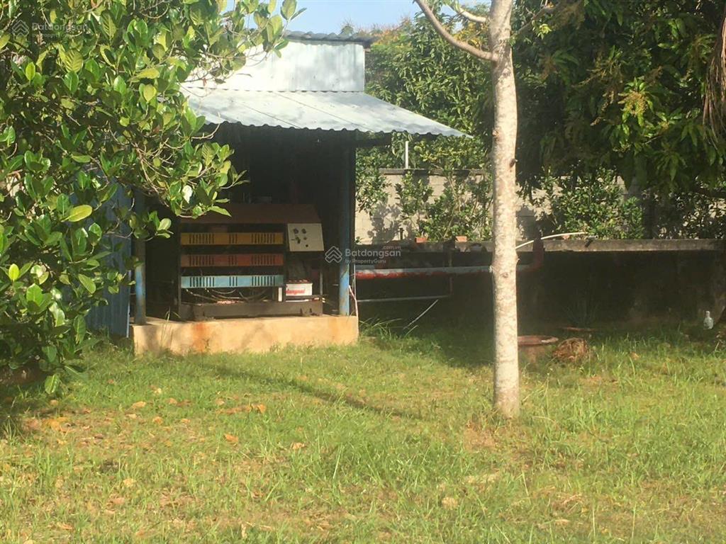 Cho thuê nhà xưởng kcn thành thành công tây ninh diện tích hơn 20.000m²