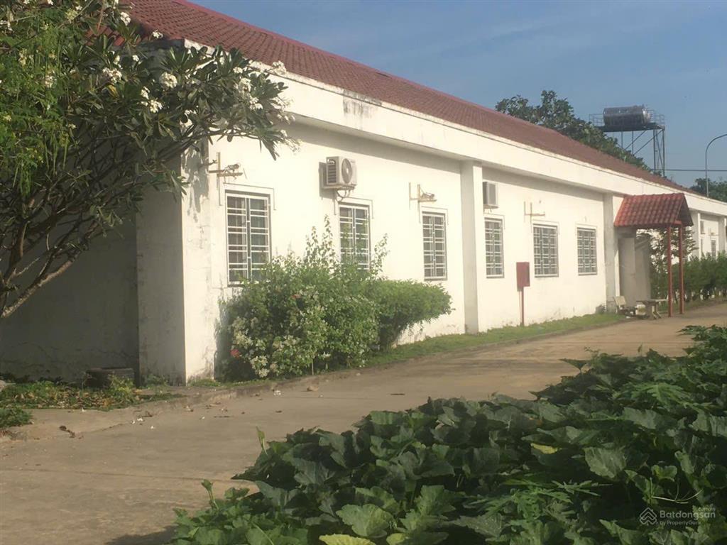 Cho thuê nhà xưởng kcn thành thành công tây ninh diện tích hơn 20.000m²