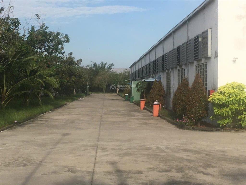 Cho thuê nhà xưởng kcn thành thành công tây ninh diện tích hơn 20.000m²