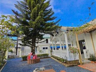 Xoay tới xoay lui dì không đủ vốn đành bán lỗ 600m2 ven đà lạt chỉ 390tr