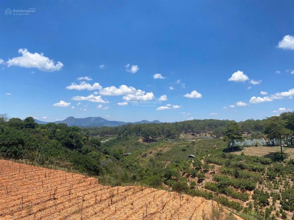 Cô đi nước ngoài ra lẹ xuân trường  đà lạt miếng 5143 m2 sang ngay 898 tr