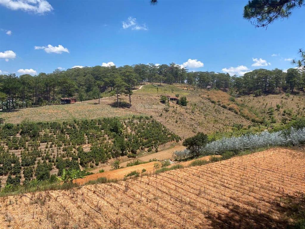 Cô đi nước ngoài ra lẹ xuân trường  đà lạt miếng 5143 m2 sang ngay 898 tr