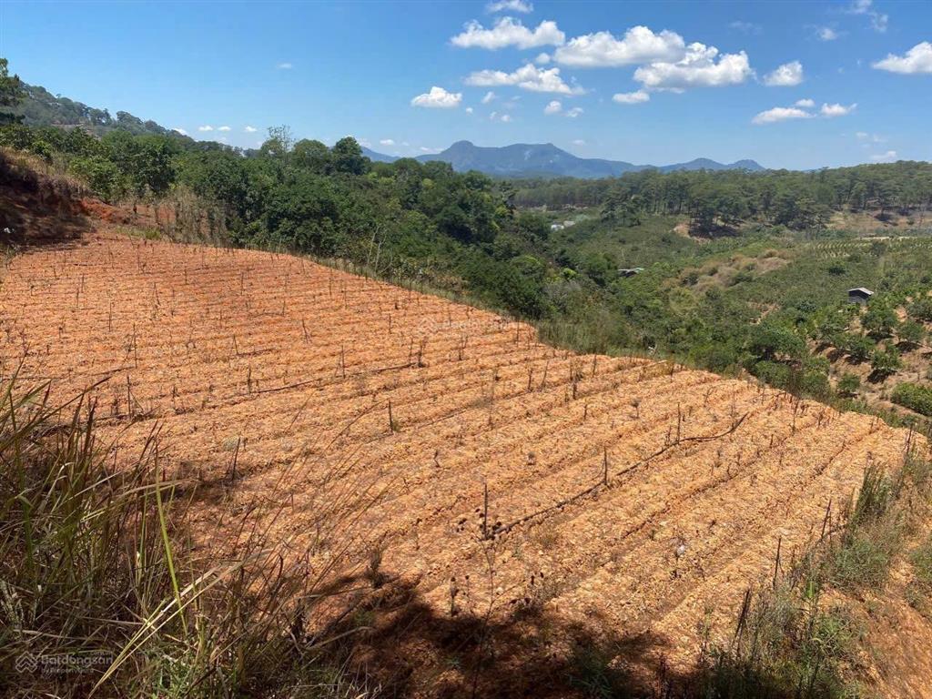 Cô đi nước ngoài ra lẹ xuân trường  đà lạt miếng 5143 m2 sang ngay 898 tr