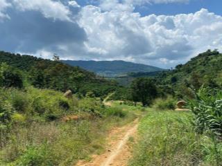 Bác đi nước ngoài gấp quá cần nguồn vốn qua đó làm ăn đành bán giảm sâu 950m2 chỉ 402tr