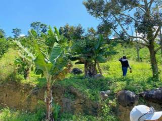 Anh chị cự cãi chia tài sản chấp nhận lỗ lô 800m2 sang lại 402tr