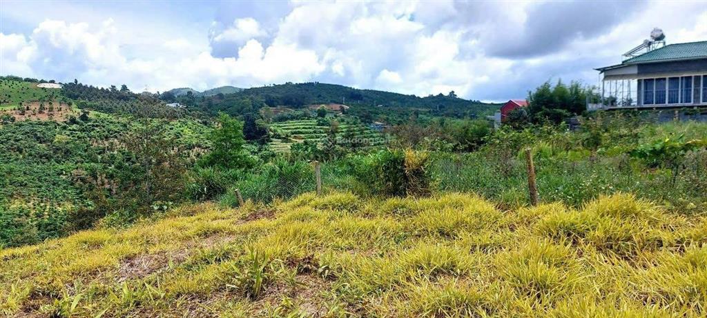 Gia đình dì đảo lộn khi con trai tin lời bạn bè đi đầu tư đành bán lỗ 880m2 chỉ 639tr