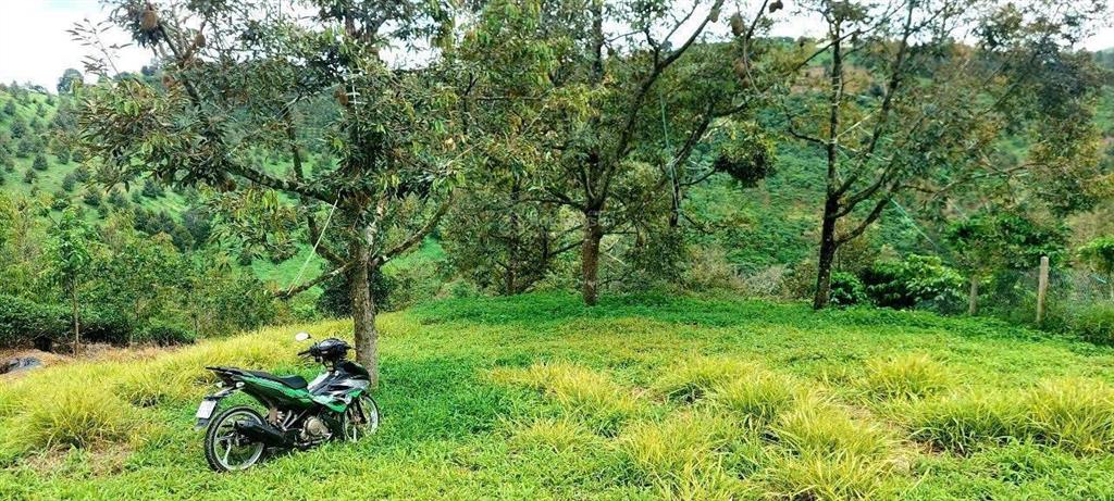 Gia đình dì đảo lộn khi con trai tin lời bạn bè đi đầu tư đành bán lỗ 880m2 chỉ 639tr