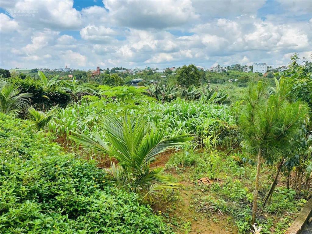 Cô cao tuổi không lên lại đành bán lỗ sâu miếng 1500m2 ven đà lạt chỉ 601tr